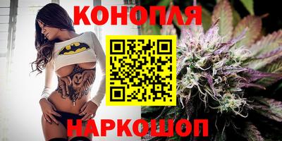 прущие крисы Новодвинск