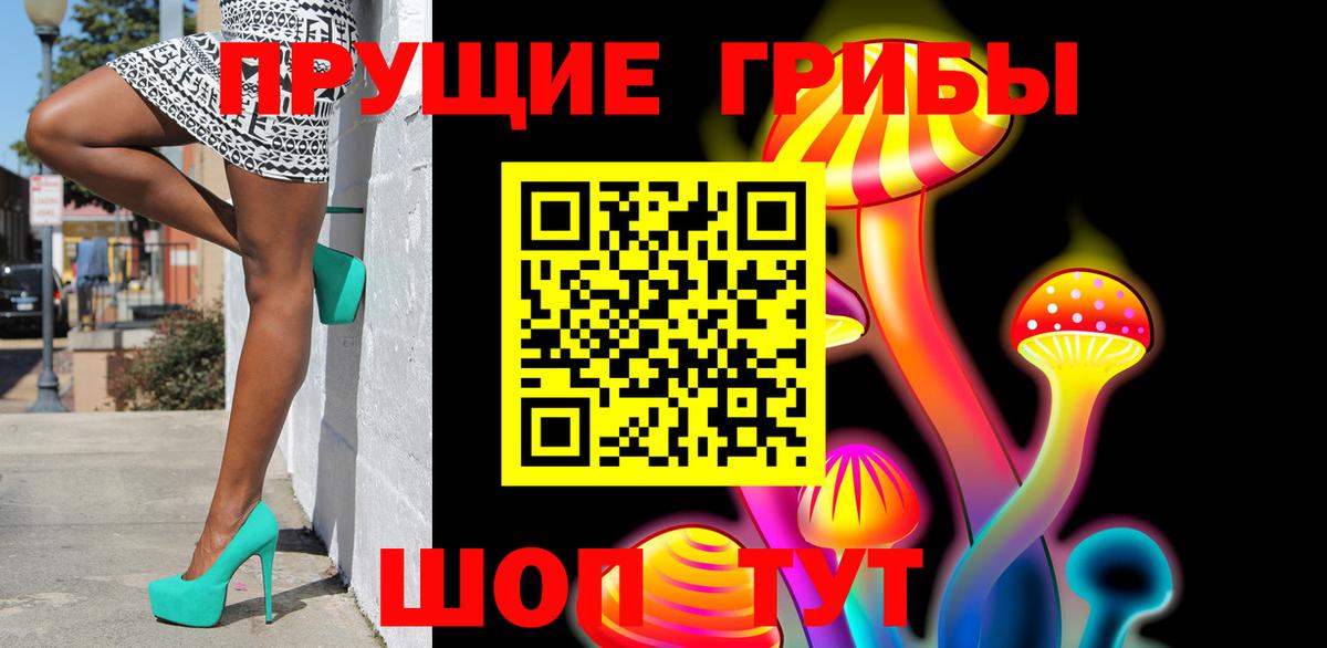 Псилоцибиновые грибы прущие грибы Тавда